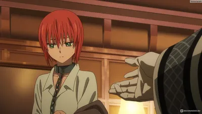 Mahou Tsukai no Yome / The Magician's Bride / Невеста чародея 12 глава |  Ancient magus bride, Manga, Anime drawing styles