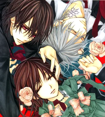 Чтение Манга Рыцарь-вампир: Воспоминания - Vampire Knight Memories -  Vampire Knight Memories онлайн. Глава 38.5 - ReadManga