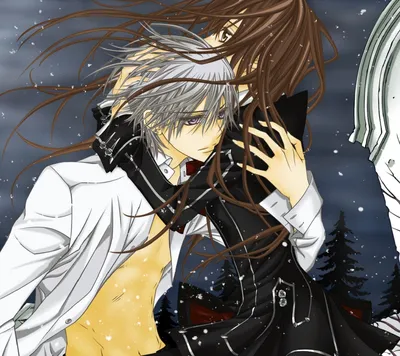 Аниме «Рыцарь-вампир: Виновен» / Vampire Knight Guilty / Vampire Knight  Guilty — трейлеры, дата выхода | КГ-Портал