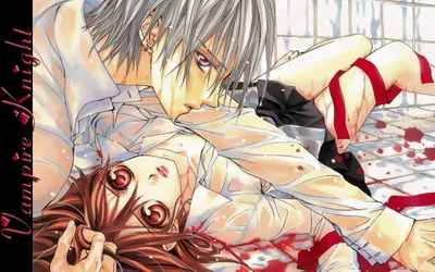 Купить Сумка Vampire Knight 35615 с доставкой по России