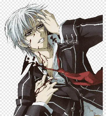 Обои Аниме Vampire Knight, обои для рабочего стола, фотографии аниме,  vampire knight, рыцарь, вампир Обои для рабочего стола, скачать обои  картинки заставки на рабочий стол.