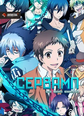 Сервамп / Servamp - «Приключения, вампиры и никаких соплей)» | отзывы