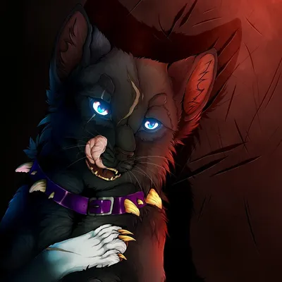 Коты Воители | Аниме Amino Amino