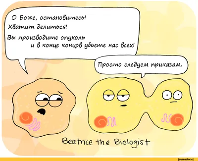 Beatrice the Biologist :: рак (болезнь) :: Смешные комиксы (веб-комиксы с  юмором и их переводы) / смешные картинки и другие приколы: комиксы, гиф  анимация, видео, лучший интеллектуальный юмор.