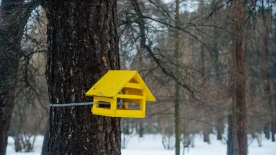 Картинки про четверг смешные