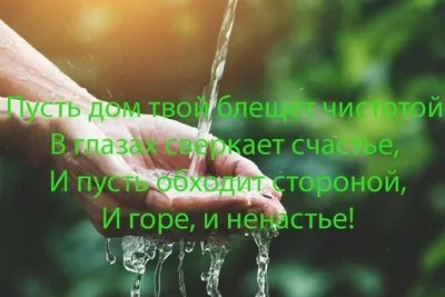 Топ-20 классных открыток с пожеланием удачного дня | Смешные открытки,  Смешно, Картинки