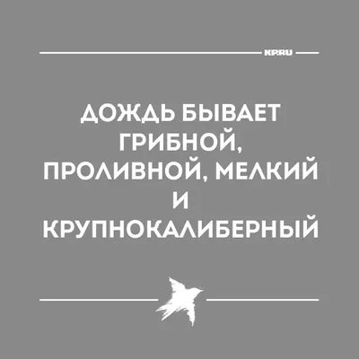 Крупнокалиберный дождь, и зайцы сидящие, сложа руки: самые смешные ляпы в  сочинениях студентов Ижевска - KP.RU