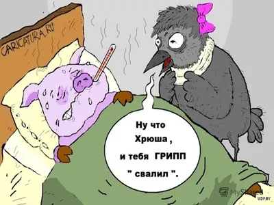 Анекдот! Доктор, скажите, у меня грипп?! — Да! — Свиной?! — Да! -Вы  уверены?! -Абсолютно! Только свинья могла вызвать «скорую»… | Больше  позитива | Дзен