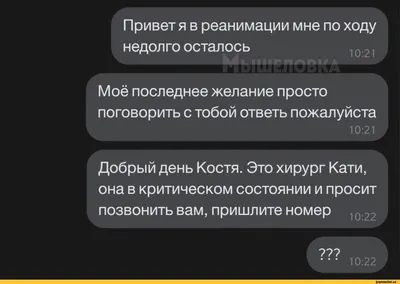 Как поспорили две вороны. Катя Гончарова - «яркие смешные картинки (фото)»  | отзывы