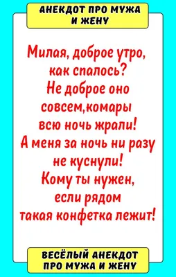 Жена выговаривает мужу-ученому:Ты любишь математику больше, чем меня!  Смешные анекдоты про мужа и жену. | Шутки Прибаутки | Дзен