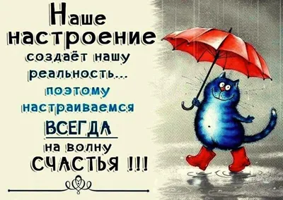 С вашим котом все в порядке?: 20 фото\" усатых\", поймавших особое настроение