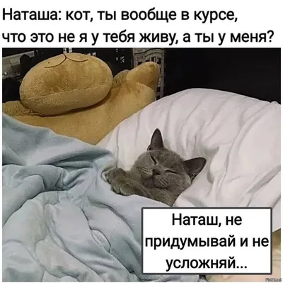 Приколы про еду :: Наташа :: котэ картинки / смешные картинки и другие  приколы: комиксы, гиф анимация, видео, лучший интеллектуальный юмор.