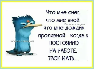 Смешная гифа с дождем. Погода на завтра: Дождь и дожди. Временами дождевые  дожди и небольшой дождь внутри большого дождя из дожд… | Погода, Смешно,  Дождливая погода