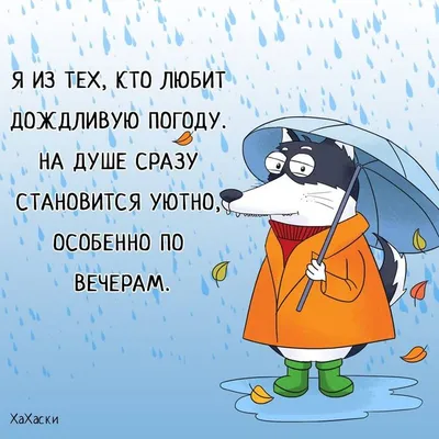 картинки с надписями :: настроение :: Жизненно :: погода / смешные картинки  и другие приколы: комиксы, гиф анимация, видео, лучший интеллектуальный  юмор.