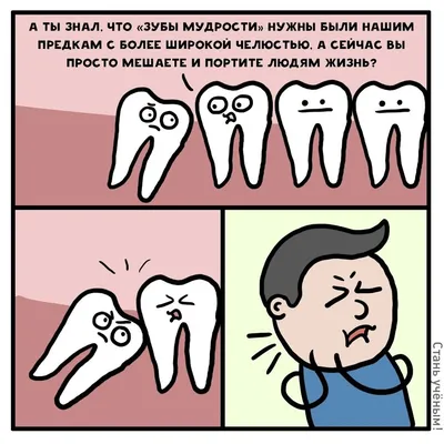 Что делает врач-стоматолог?. Доступная стоматология и имплантация