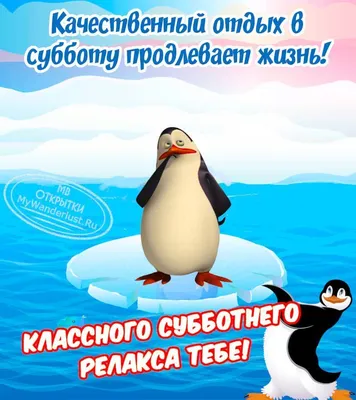 Ну, здравствуй, суббота | Пикабу