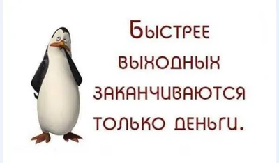 Календарь на 2020 год с воскресенья по субботу Карикатура смешная мышь  сидит и держит в лапах подарочную коробку Год крыс Иллюстрация штока -  иллюстрации насчитывающей страница, мыши: 162265963