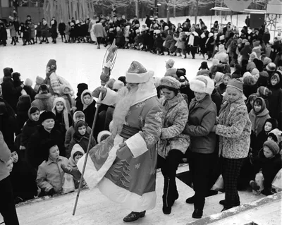 День в истории: 31 января 1943 года. Фельдмаршал Паулюс сдается в плен в  Сталинграде — Спутник и Погром