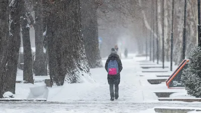 31 января в календаре: День рождения русской водки и день адского холода -  AmurMedia.ru