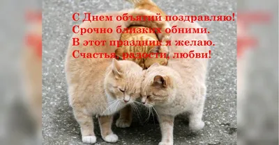 CAT STEP - День объятий🤗 21 января во всем мире отмечается один из самых  необычных праздников — Международный день объятий (International Hug Day).  Согласно традиции праздника, заключить в дружеские объятия в этот