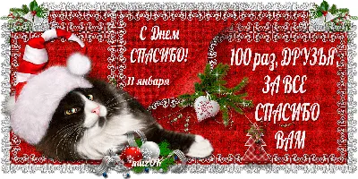 День спасибо 2024, Альшеевский район — дата и место проведения, программа  мероприятия.