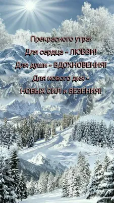 На глиняной подушке... - Страница 232 - Дачные дневники 2022 -  tomat-pomidor.com - форум