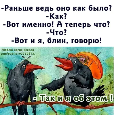 От «мяу» до «вау»: как коты покорили людей, а котомемы захватили Интернет /  Хабр