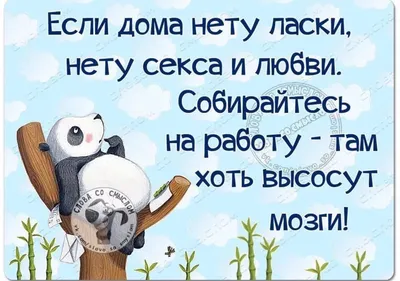 Подведены итоги смешной номинации шоу-конкурса «Прошу слова — 2018» |  Сибирский федеральный университет