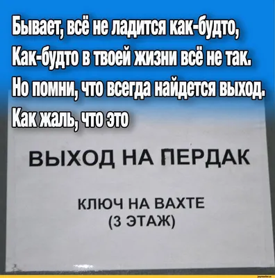 стихи / смешные картинки и другие приколы: комиксы, гиф анимация, видео,  лучший интеллектуальный юмор.