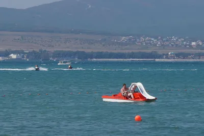 Видео, Море: подборки видео, смешные видео, милые видео — Горячее, страница  124 | Пикабу