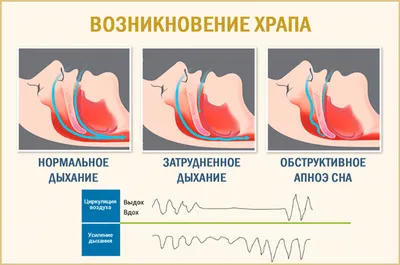 Фото приколы из интернета и завтрак жителей Дальнего Востока | Mixnews