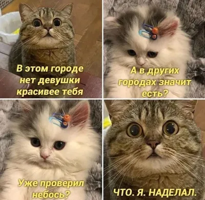 Классные и смешные картинки