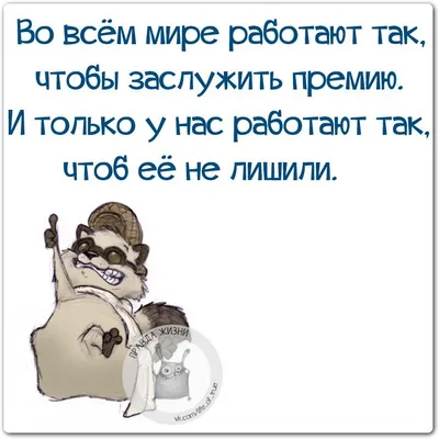 Смешные картинки ❘ 15 фото от 17 декабря 2021 | Екабу.ру - развлекательный  портал