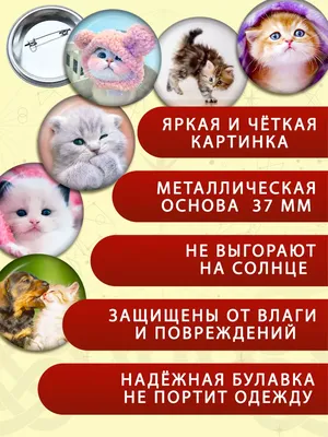 Котики аниме арт - 99 фото