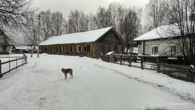 улица в д. Крутая Осыпь | Тотемский район | Фотопланета