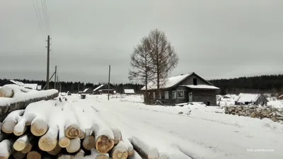 улица в д. Крутая Осыпь | Тотемский район | Фотопланета