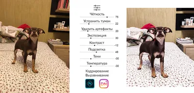 Гайд: Обработка фото в Instagram и 10 примеров | Dnative — блог про SMM