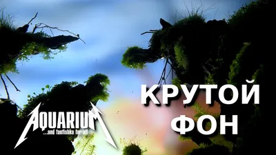 Фон крутой аниме (50 фото) » Фоны и обои для рабочего стола. Картинки для  заставки на телефон