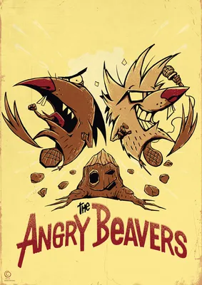 Обои Крутые бобры Мультфильмы The Angry Beavers, обои для рабочего стола,  фотографии крутые бобры, мультфильмы, -unknown , разное, the, angry,  beavers, крутые, бобры Обои для рабочего стола, скачать обои картинки  заставки на