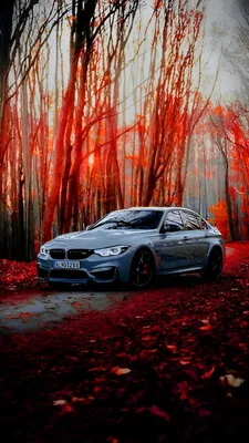 BMW HD wallpaper for phone. in 2023 | Bmw, Car wallpapers, Sports car  wallpaper