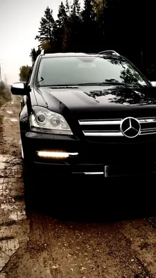 Редкие и очень крутые модели Mercedes-Benz на Авто.ру - читайте в разделе  Подборки в Журнале Авто.ру