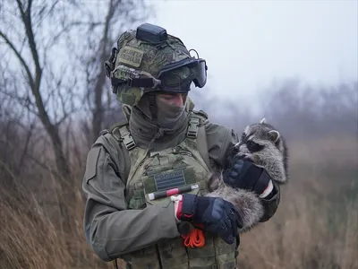 Крутой спецназовец в шлеме балаклаве…» — создано в Шедевруме