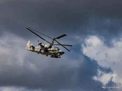 Крутые азербайджанские девочки – рукопашный бой в условиях военных действий  (ФОТО)