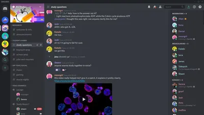 3 месяца Discord Nitro в EGS / Epic Games Store :: Халява :: дискорд ::  Игры / картинки, гифки, прикольные комиксы, интересные статьи по теме.