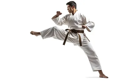 Толстовка kyokushin толстовки с капюшоном для карате для мужчин и женщин,  свитшот с 3D-принтом, для каратэ, супер крутые пуловеры с капюшоном для  подростков, Осень-зима | AliExpress