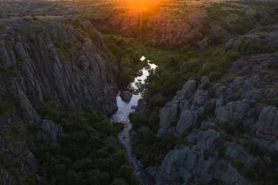 Крутые проекты из дерева своими руками (15 фото) » Невседома