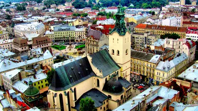 Лев фото картинки - 67 фото