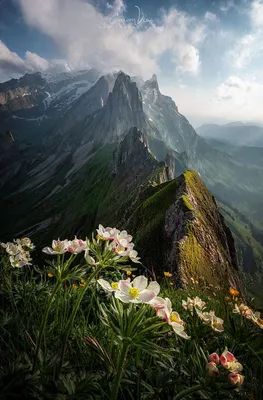 Самые крутые фотографии природы с фотоконкурса «Landscape Photographer of  the Year 2018»