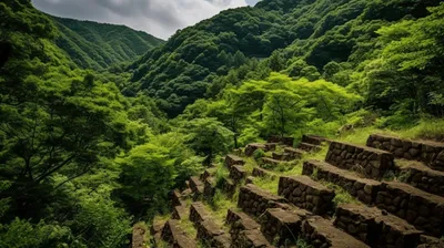 Уникальные фото природы, авторы которых стали победителями конкурса The  Nature Conservancy – Люкс ФМ