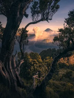 Самые крутые фотографии природы с фотоконкурса «Landscape Photographer of  the Year 2018»